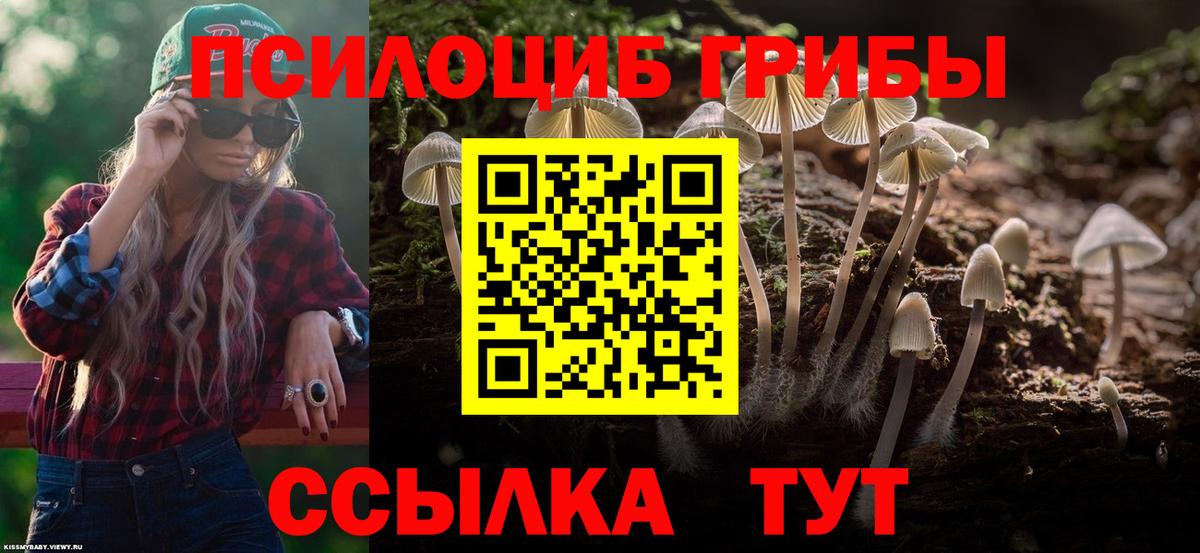 Галлюциногенные грибы Magic Shrooms Миасс